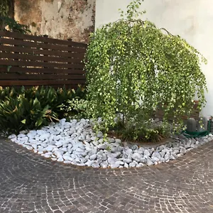 Apartment La Betulla Italy